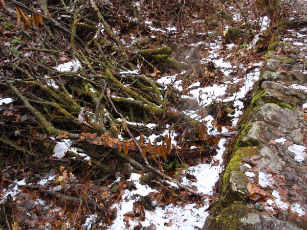 c0110361_15251788.jpg