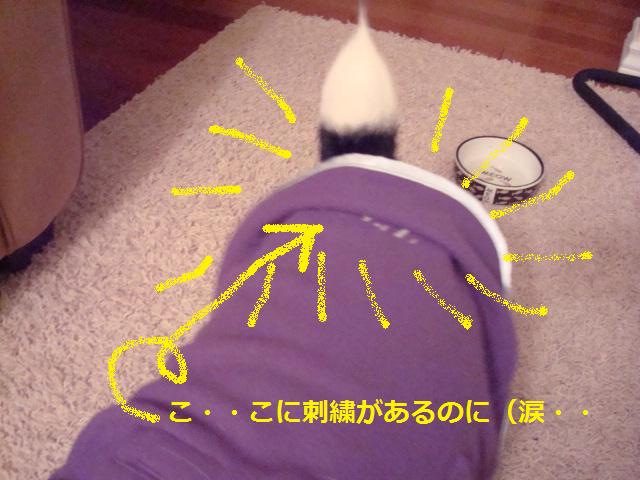 e0203961_11255725.jpg