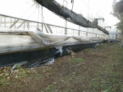 f0055264_2282779.jpg