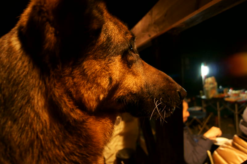 c0002967_2233814.jpg