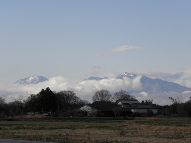 d0134473_17474233.jpg