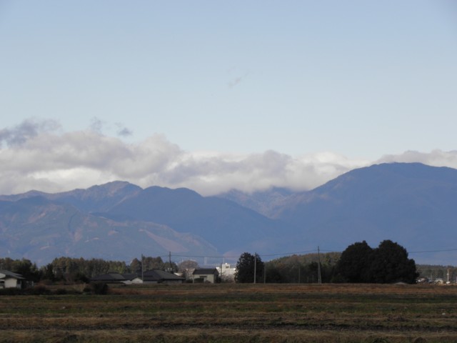 d0134473_17491693.jpg