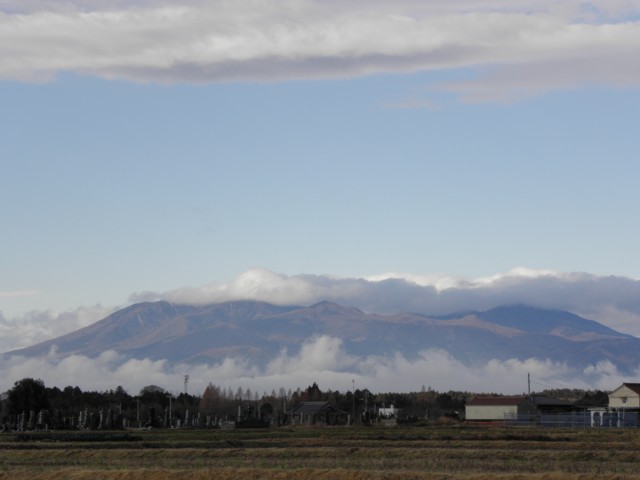 d0134473_1750771.jpg
