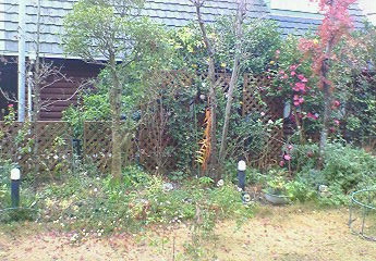 f0215179_9165165.jpg