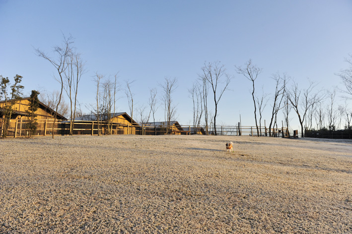 f0112087_15213983.jpg