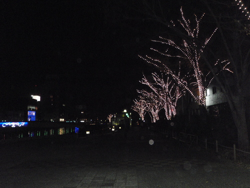 e0100589_9593942.jpg