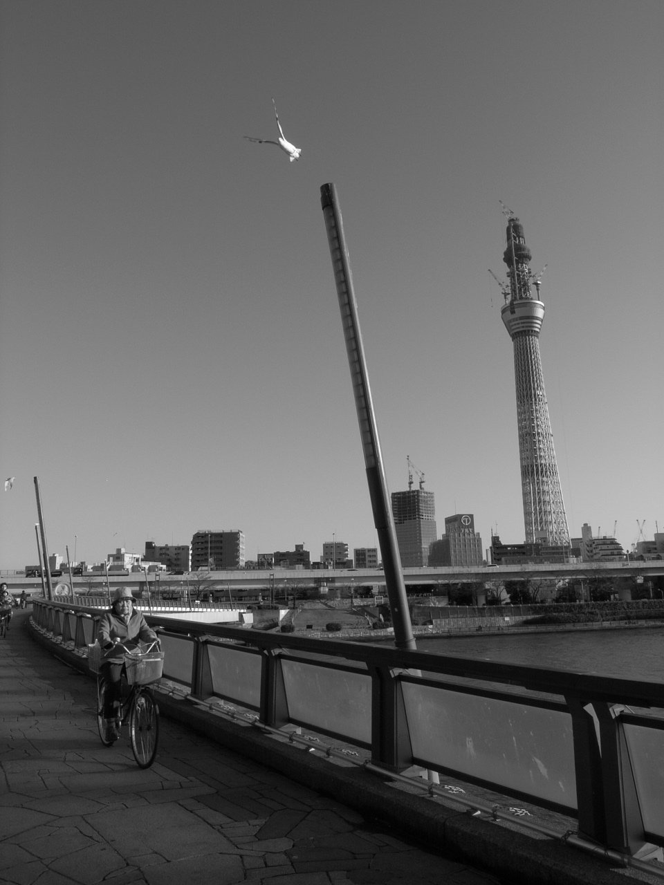 e0025893_07419.jpg