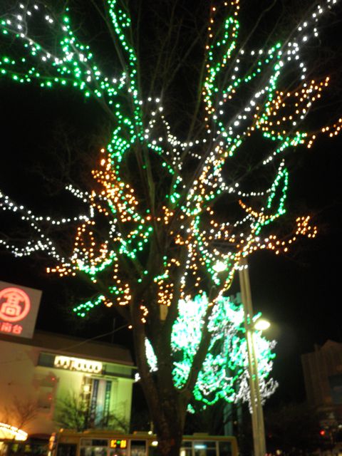 f0130894_22134331.jpg