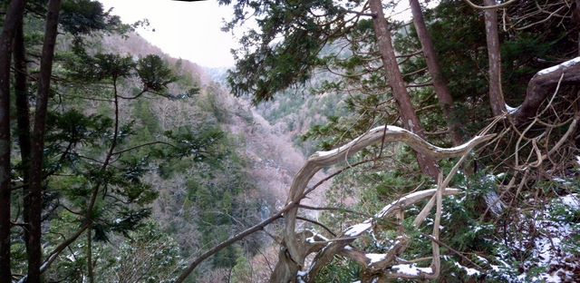 f0155495_2122310.jpg