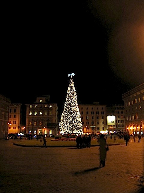 e0211204_4465896.jpg
