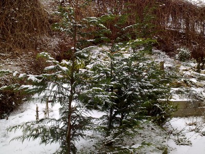 f0021504_3513245.jpg