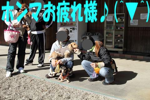 e0100007_21424914.jpg