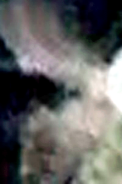 e0103408_0312585.gif