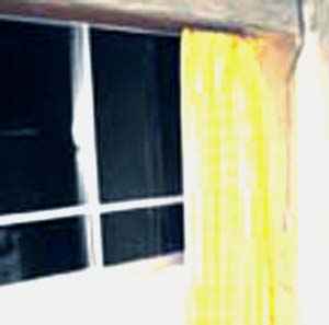 e0103408_4532912.jpg
