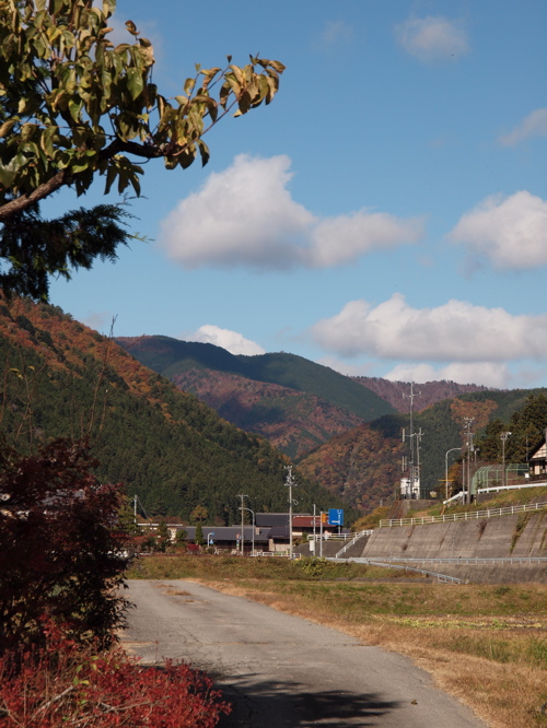 f0135908_2054210.jpg
