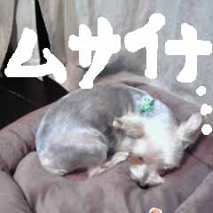 c0036617_1803359.jpg