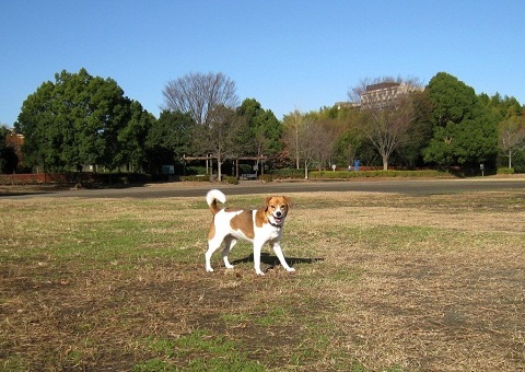 c0084117_1916063.jpg