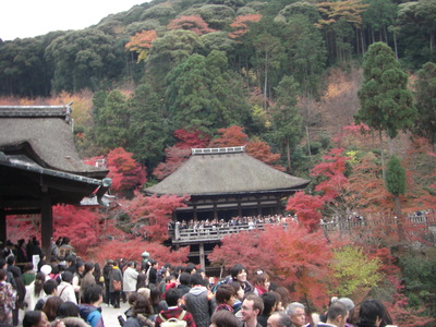 c0074721_14394887.jpg