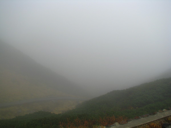 c0166521_1944175.jpg