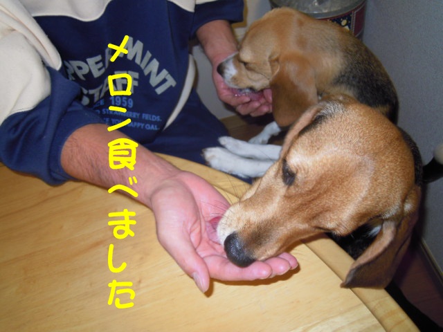 c0166622_23185923.jpg