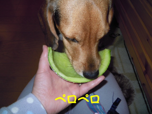 c0166622_23401020.jpg