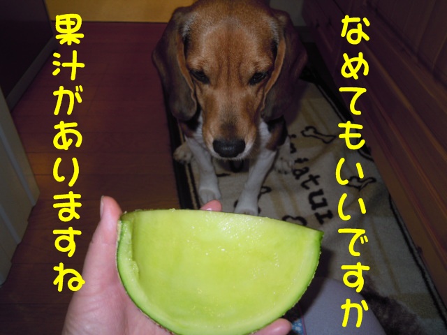 c0166622_2340335.jpg