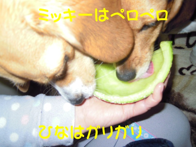 c0166622_23413275.jpg