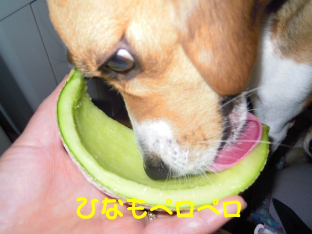 c0166622_2341691.jpg