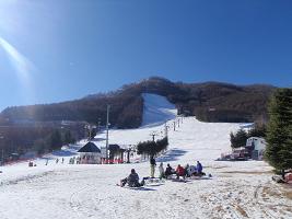 f0022024_75542.jpg