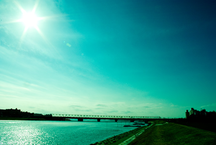 d0158925_6133031.jpg