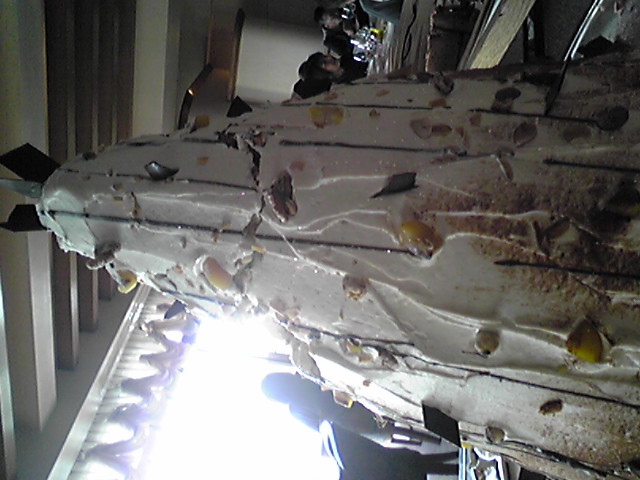 d0054830_20363851.jpg