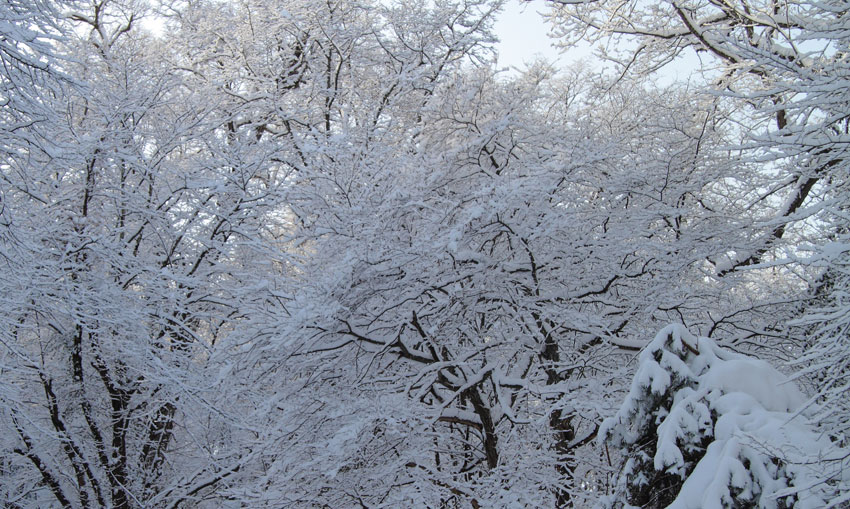 d0069235_22172823.jpg