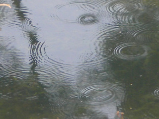 a0152839_6541074.jpg