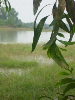 a0152839_6541851.jpg