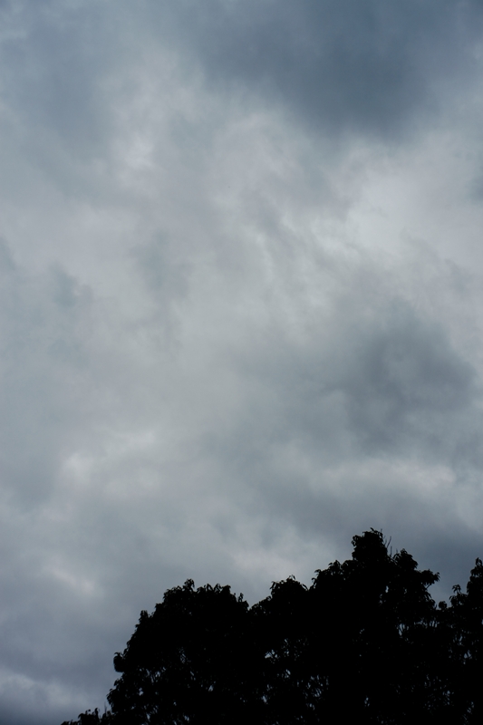 d0152341_02175.jpg