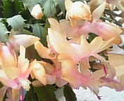 e0150849_22371434.jpg