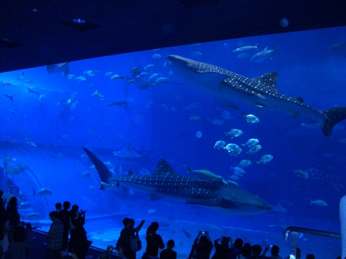 d0212451_1927355.jpg