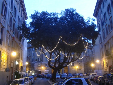 c0206352_1522684.jpg