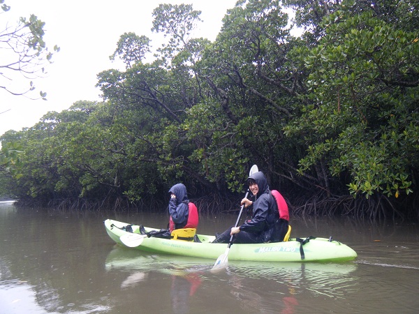 e0134752_20123645.jpg