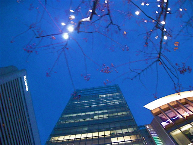 c0194753_16162083.jpg