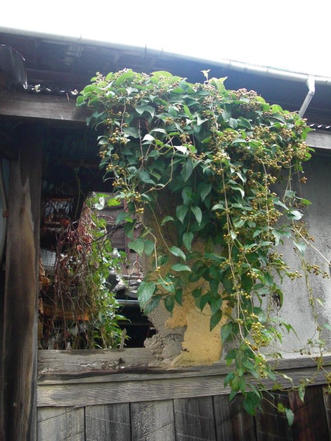 c0194753_16171425.jpg