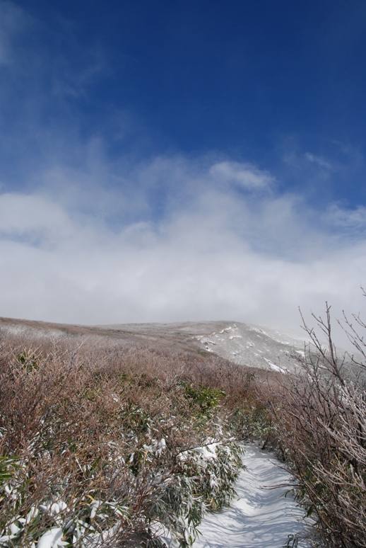 d0169556_1838950.jpg