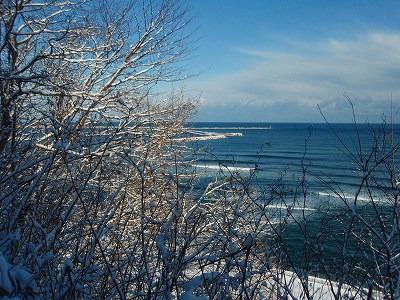 e0004756_20193146.jpg