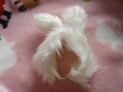 c0032257_1137413.jpg