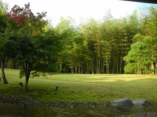 e0176457_5465277.jpg