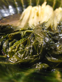 f0056476_1514668.jpg