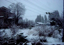 c0057781_9221457.jpg