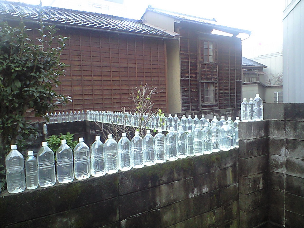 b0147093_14212216.jpg