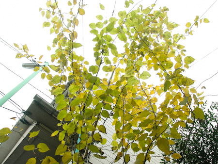 f0239100_7231486.jpg