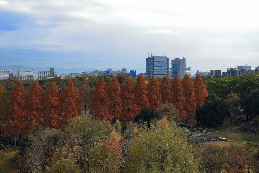 b0138101_20432690.jpg